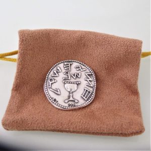 מטבע מחצית השקל